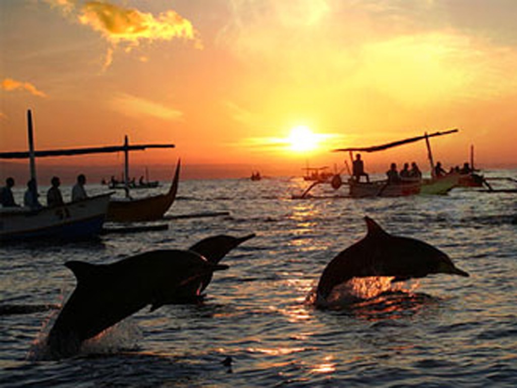 Lovina beach dolphins