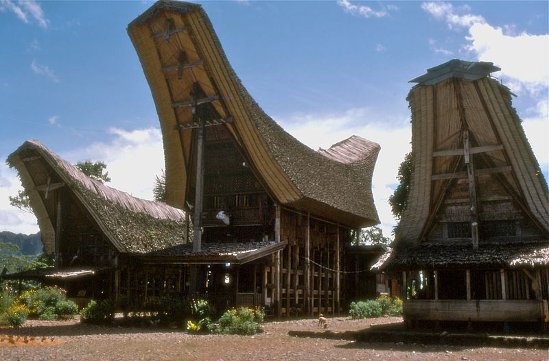 Toraja houses