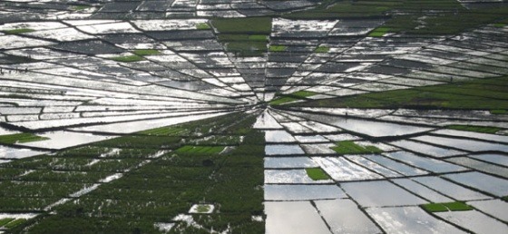 Spider Web Rice Fields in Flores, Indonesia, Indonesia Travel guide, Place other than Bali