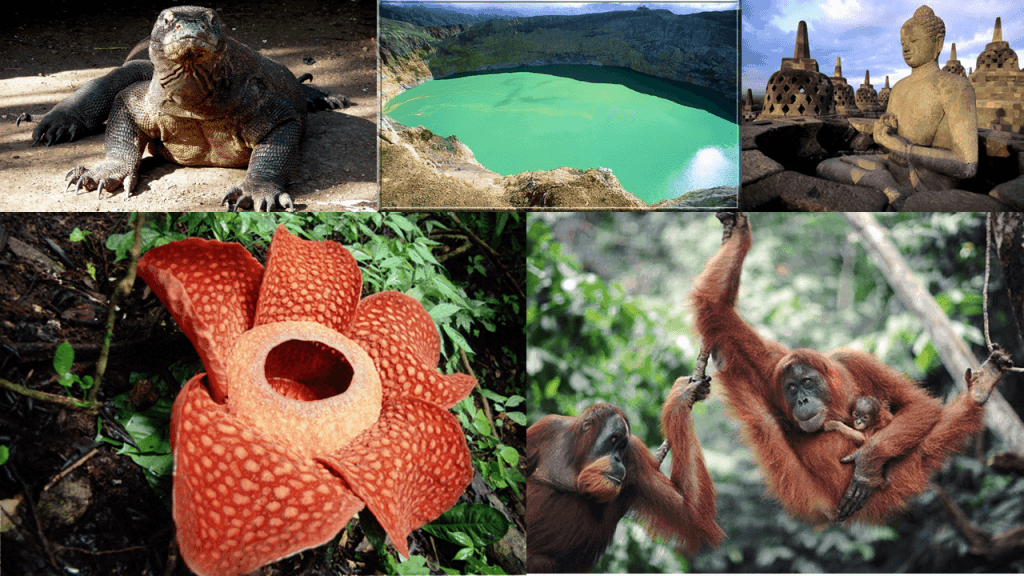 A Brief Overview of Indonesia’s Many Islands | Indonesia'd